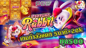 fortune tiger rabbit